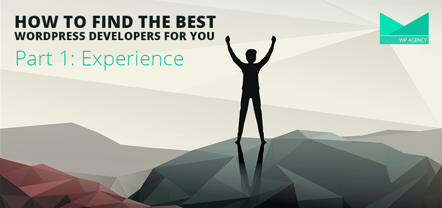 Best WordPress Developers Part 1: Experience